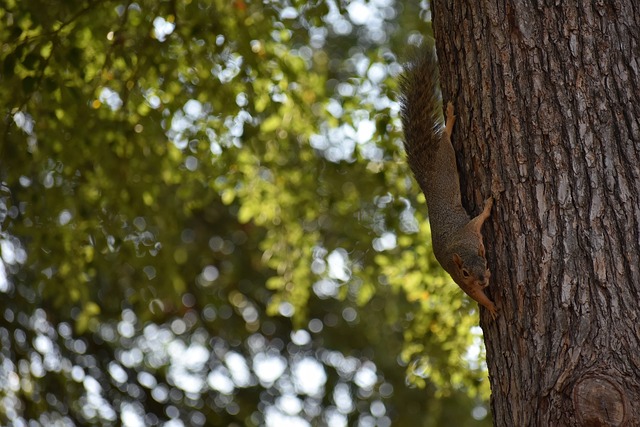 素养及防守 素养及防守