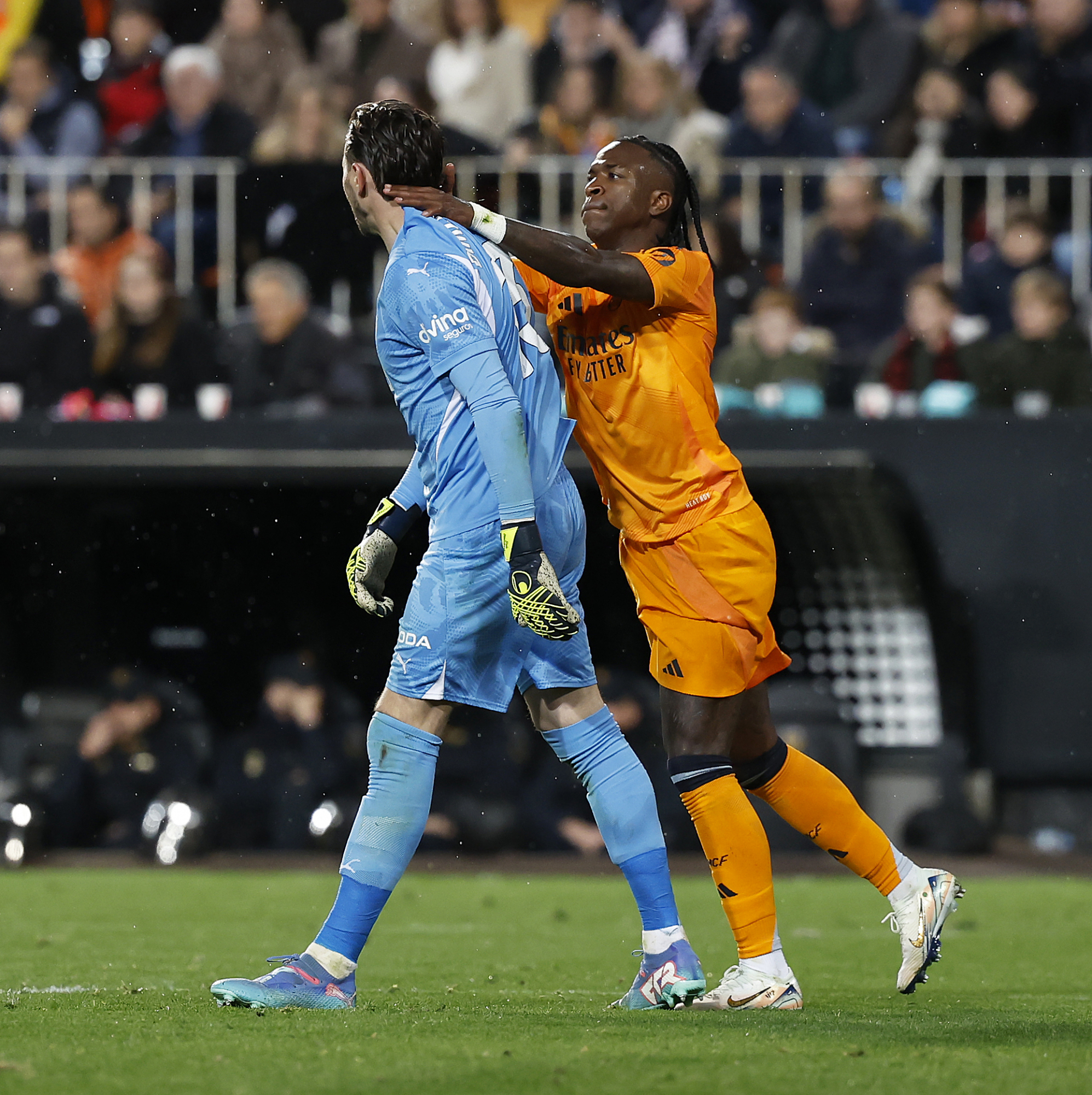 吸引了无数 吸引了无数